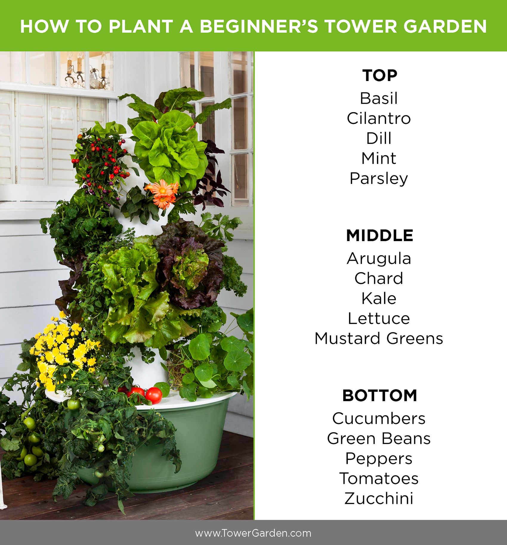 Tower Garden Beginner Plants