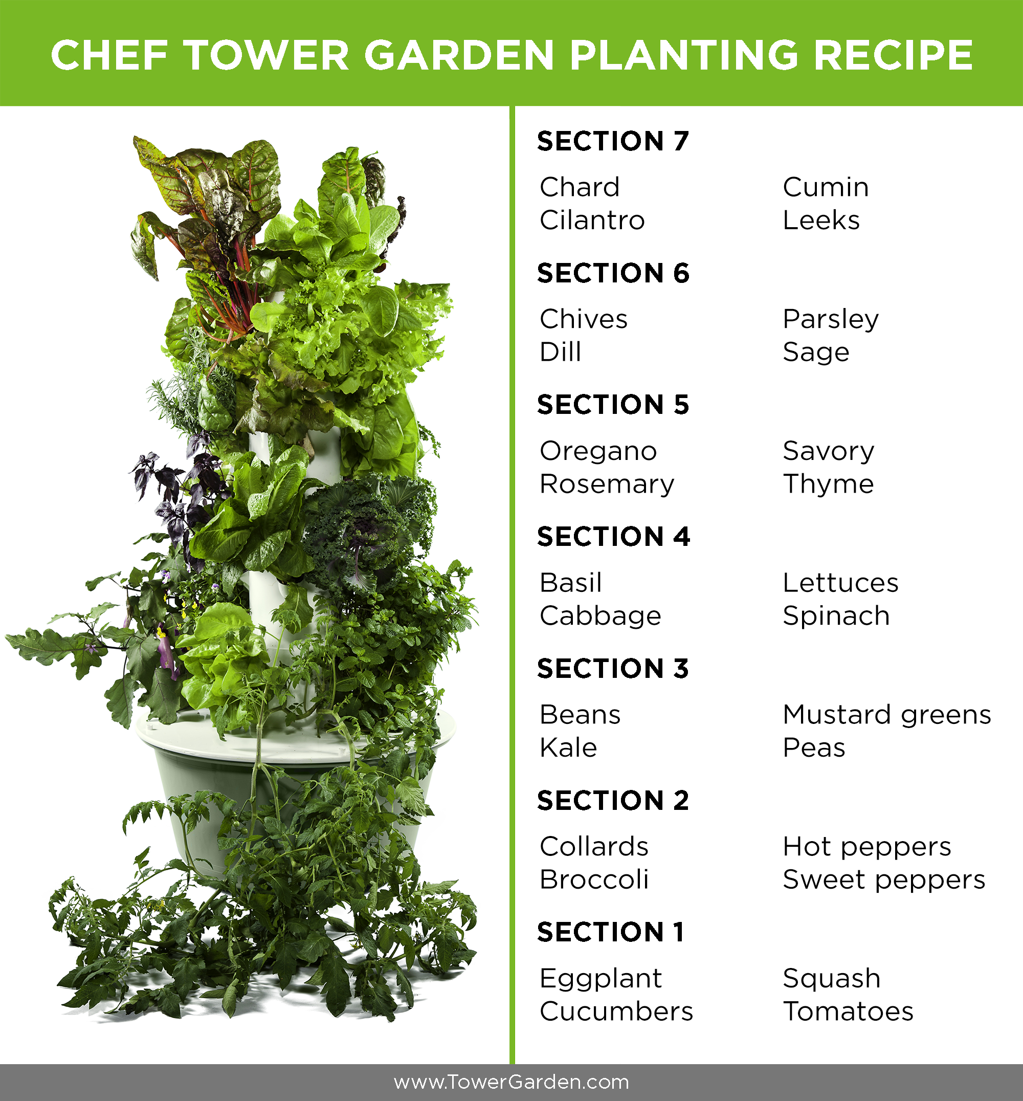 Planting Schematic for Chef Tower Garden