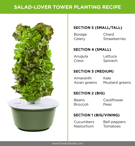 Salad Tower Garden Tower Planting Schematic