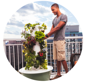 Harvesting the Tower Garden by JuicePlus+ City Gardening