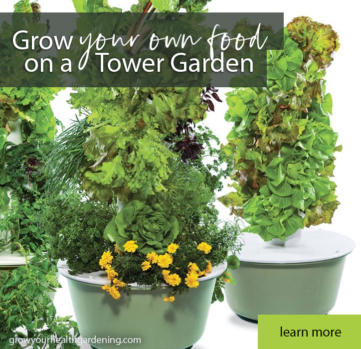 Grow your own food on a hydroponic Tower Garden