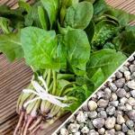 Spinach_-_America_seeds_1024x1024