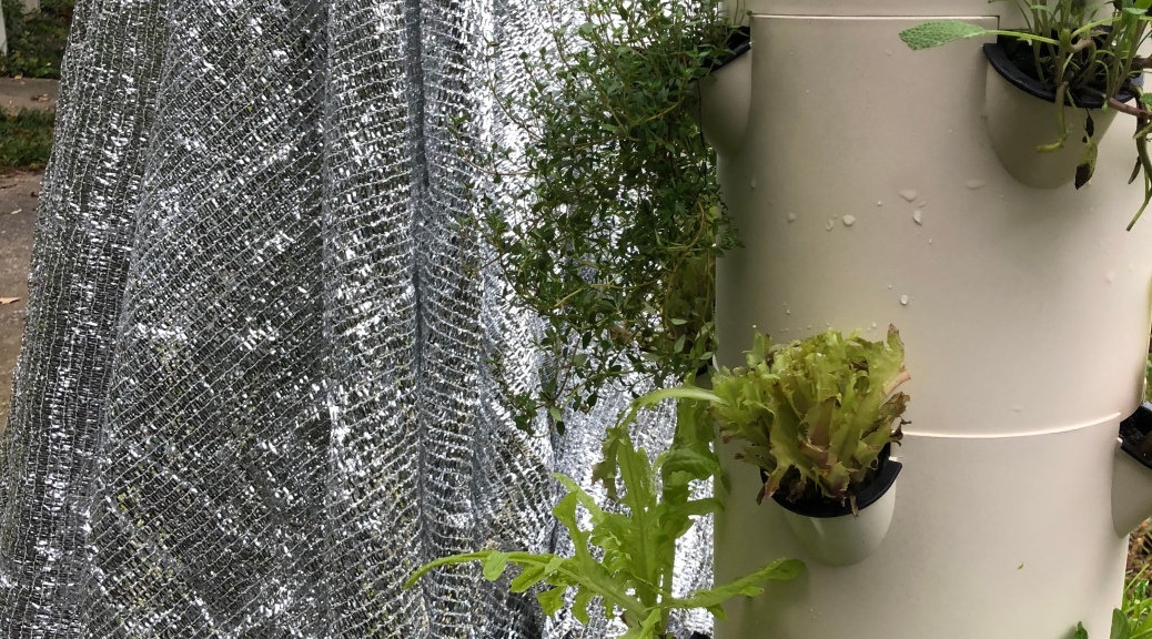 Weather Cover by Tower Garden