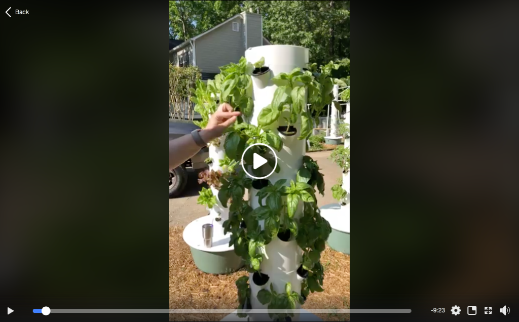 How to Grow Hydroponic Basil in Tower Garden