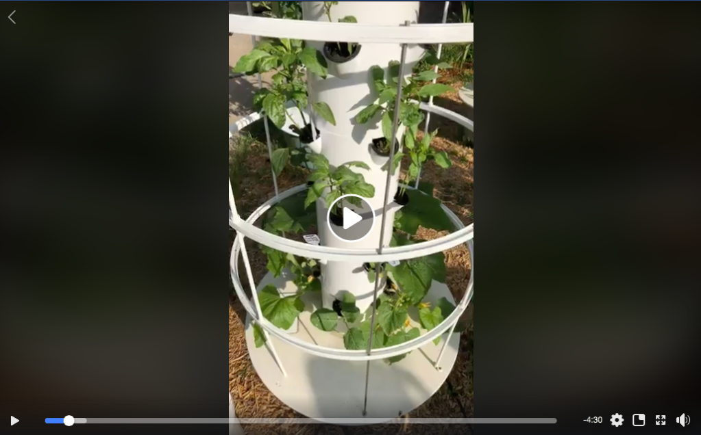May 17 2020 Hydroponic Garden Walk Through Squash and Peppers