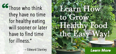 Learn How to Grow Food the Easy Way