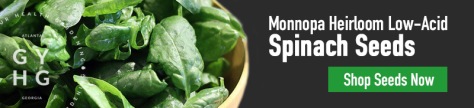 Monnopa Spinach Seed